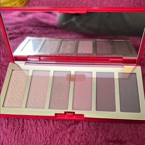 Estée Lauder eye shadow collection.Pink and Gold  New never used